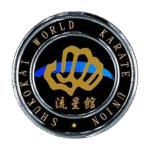 karate new logo 1